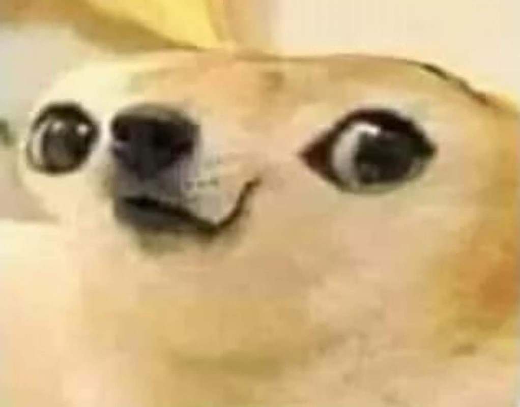 280050913-407488624530585-76038717371767