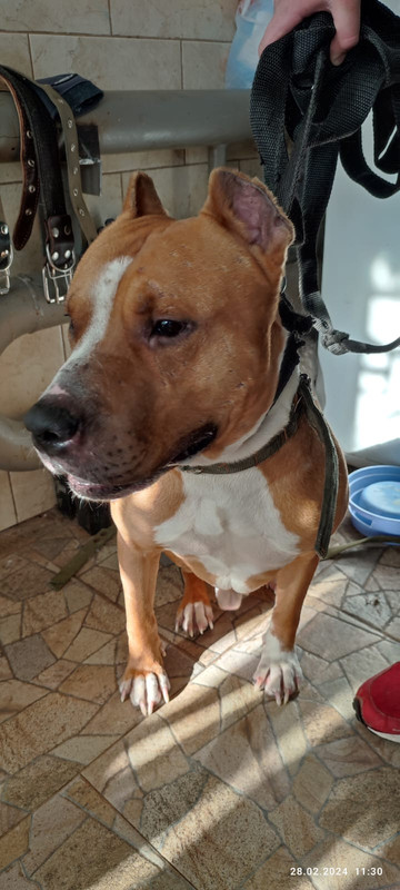 WhatsApp Image 2024-02-28 at 11.33.12 (1)