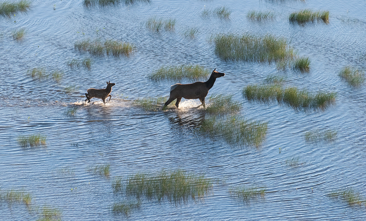 Ed1400MormonLake7-2-19_0020