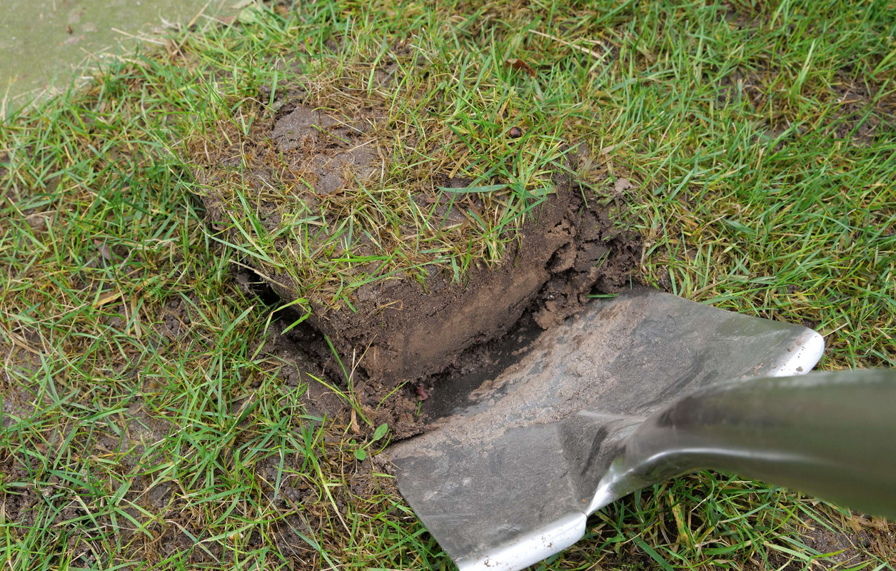 Rasen T13 20220125 Boden