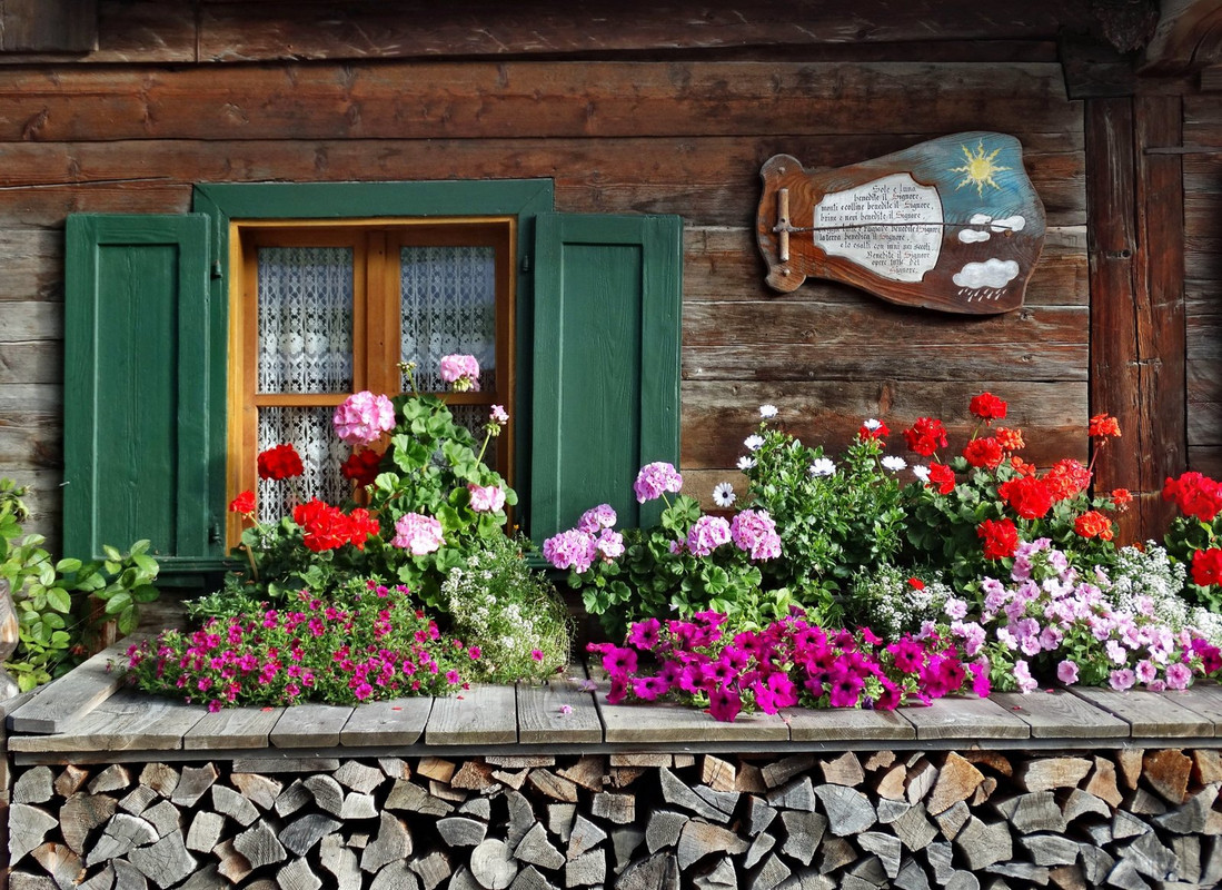 green-shutters-flowers-dis.jpg