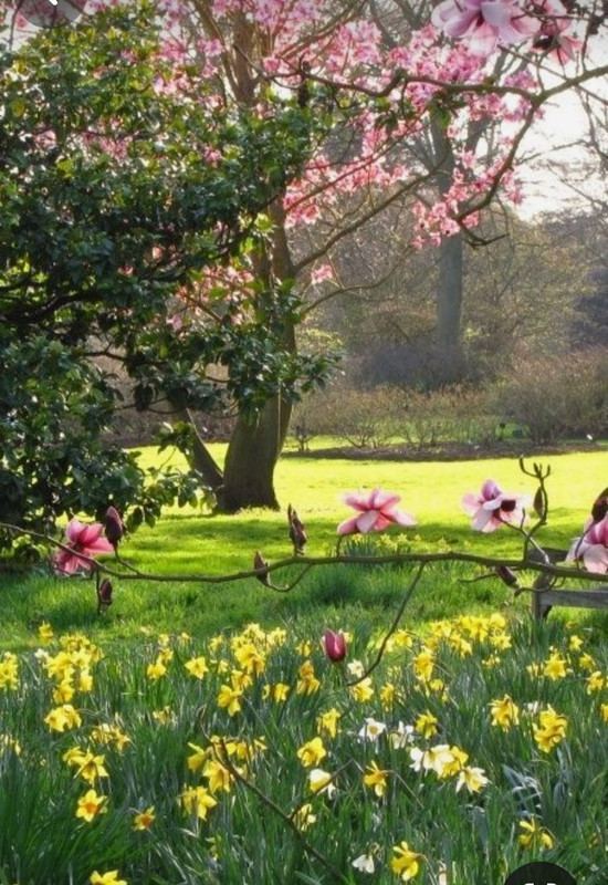 Screenshot_20240330_235536_Pinterest