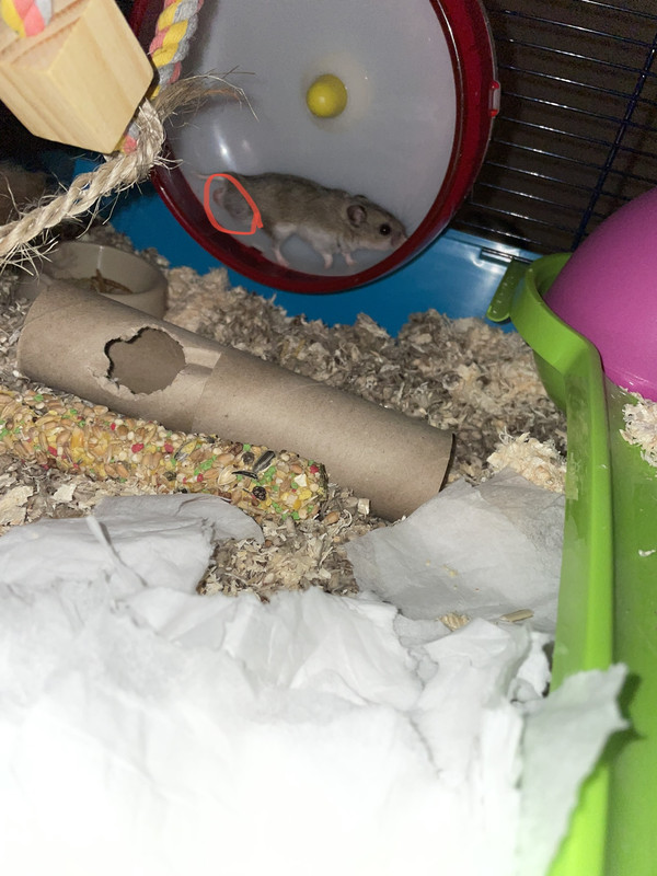 53AAC651-8455-4EC9-A6F8-977762A688BD