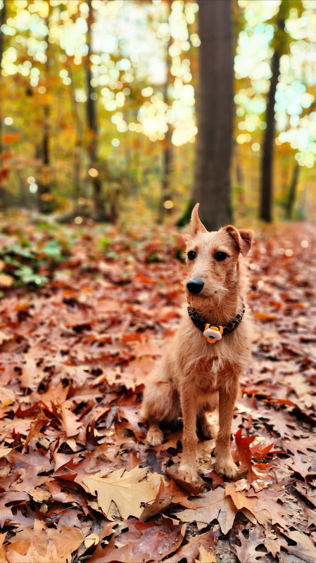 Lumii_20251022_165852146