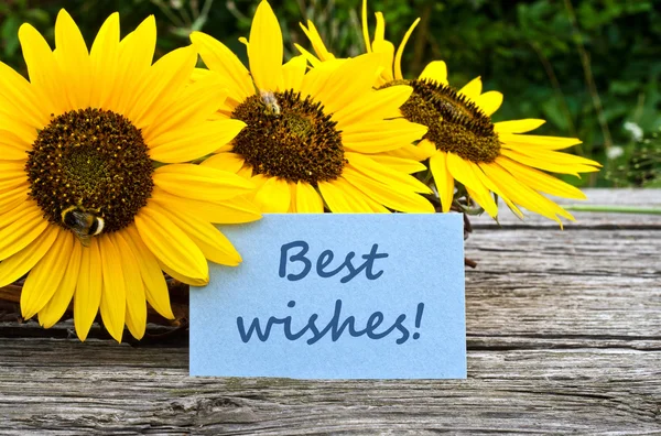 stock-photo-sunflowers