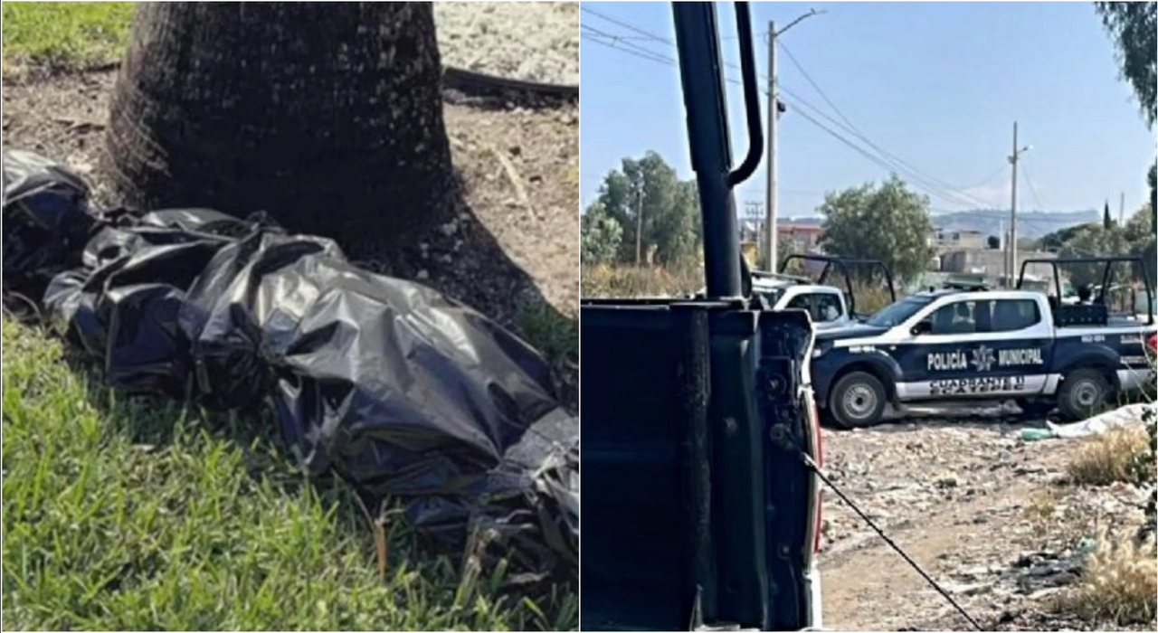 Perros alertan la presencia de un cuerpo decapitado en Estado de México