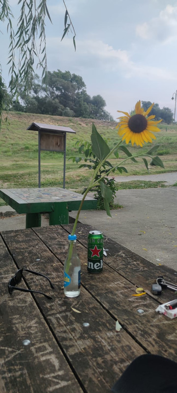 IMG 20240722 WA0019