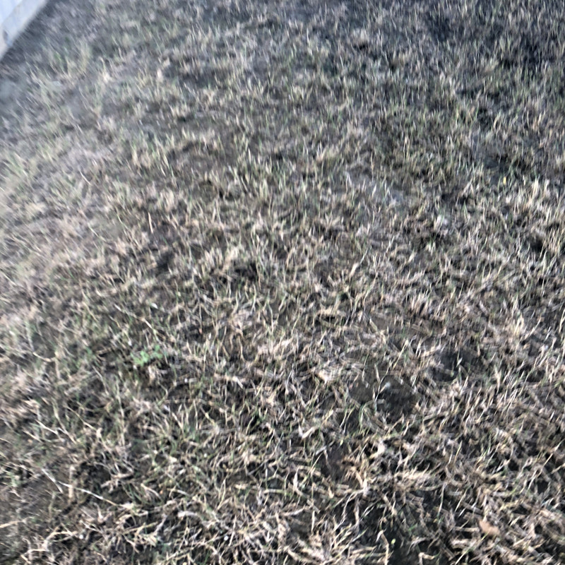 4E6447F5-13EA-41C5-BCCF-5F09E65B4717