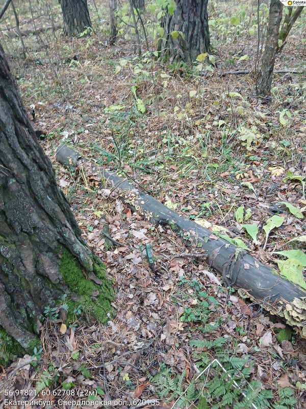 56 91821 60 62708 2m 26102025 162001