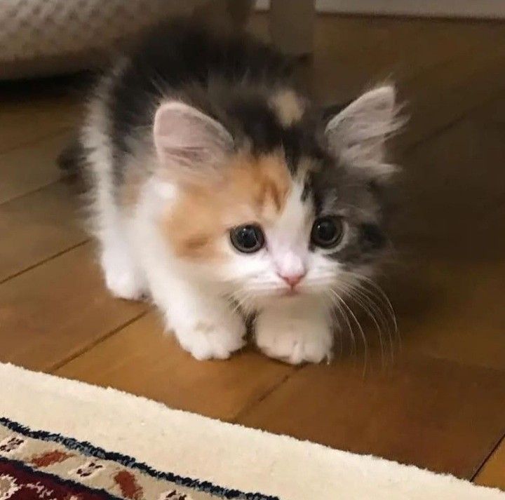 ♡