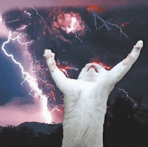[Image: lawdjesusyes.gif]