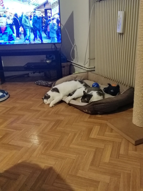 https://i.postimg.cc/0Q4sD4vK/IMG-20211230-211800.jpg