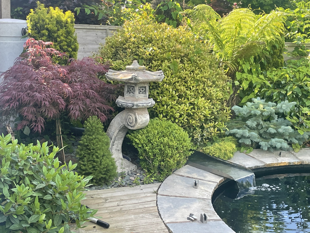 97F3AFAE-C470-4377-9A87-08AD78782DF7