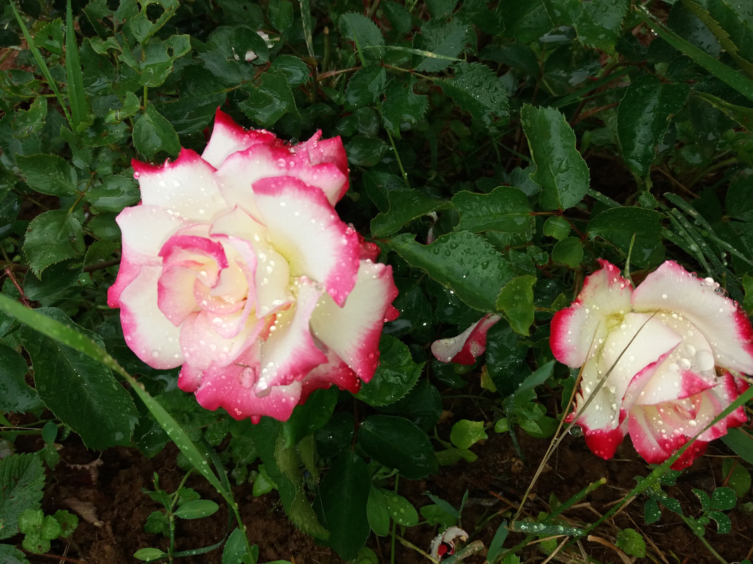 20190602_135008