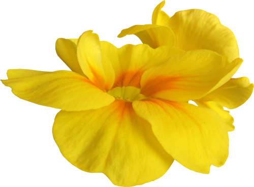 Kit_Just_Bee_In_ME (28)