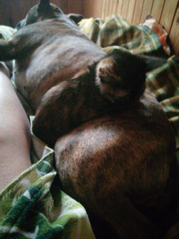 006D7D6B-B71F-40A3-B3EF-CF558B809EB5