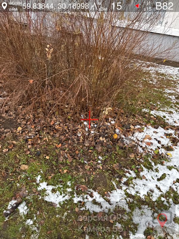 17нояб 25 15 10 s