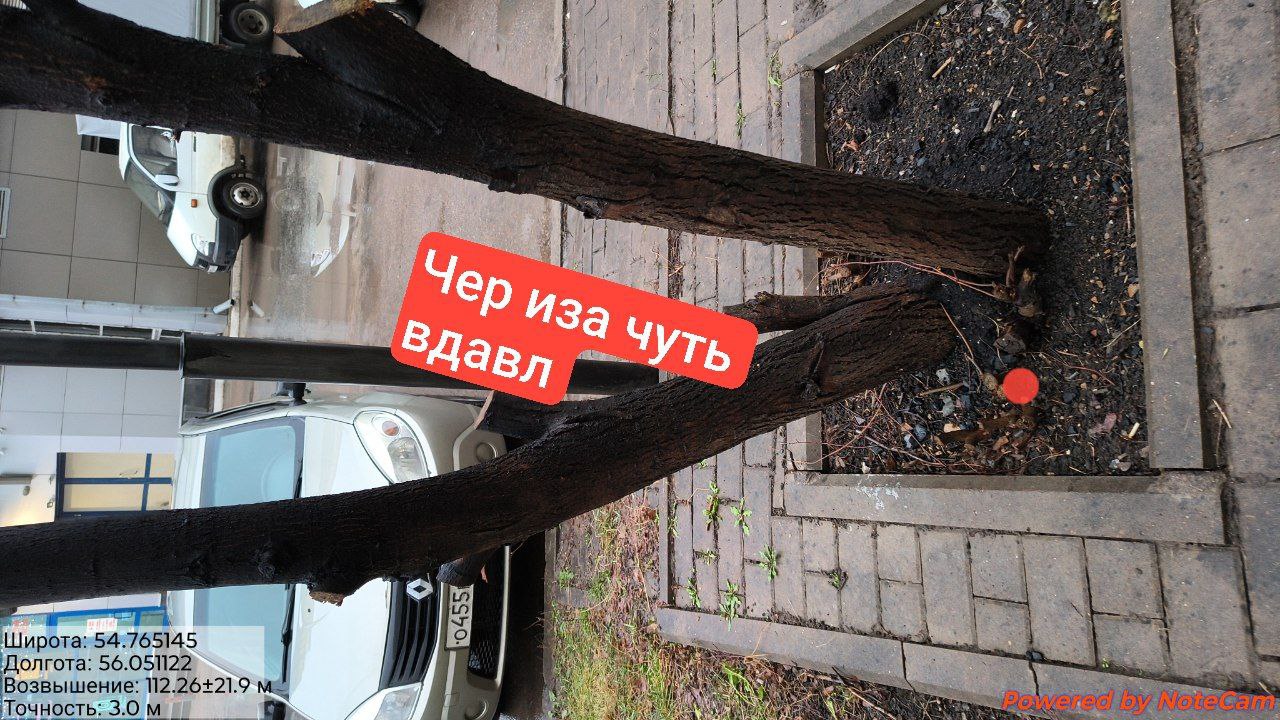 IMG 5563