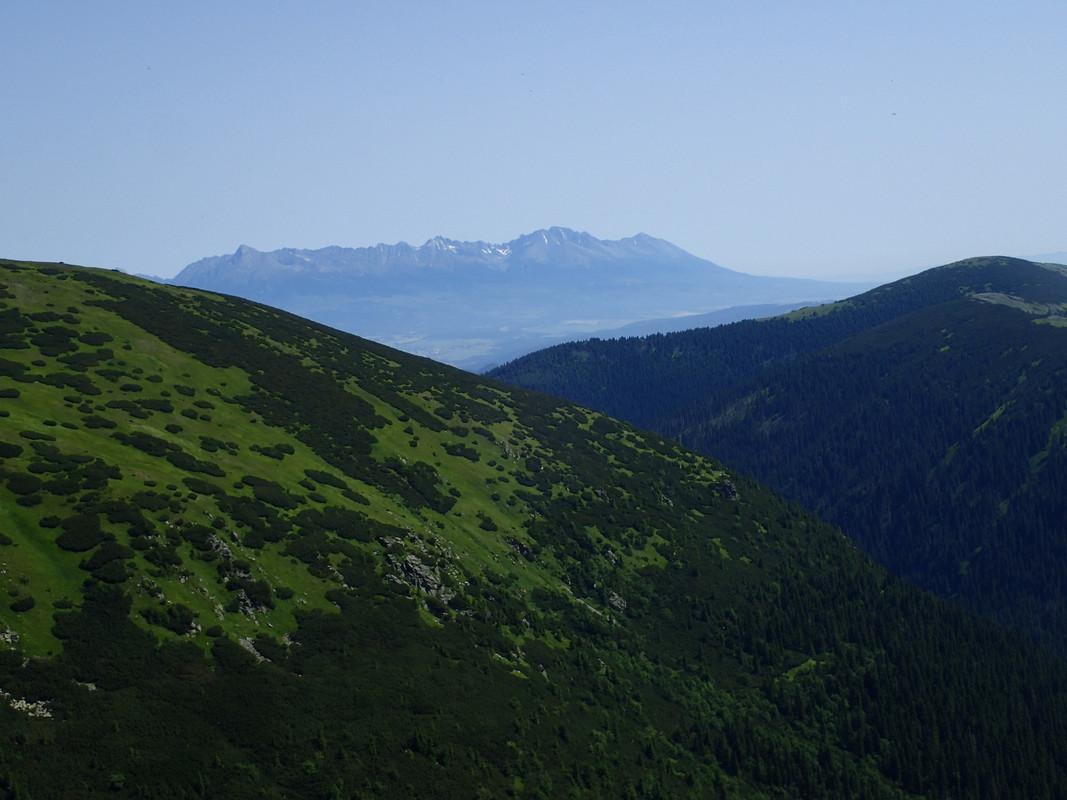 2019_0630DUMBIER_TG0037