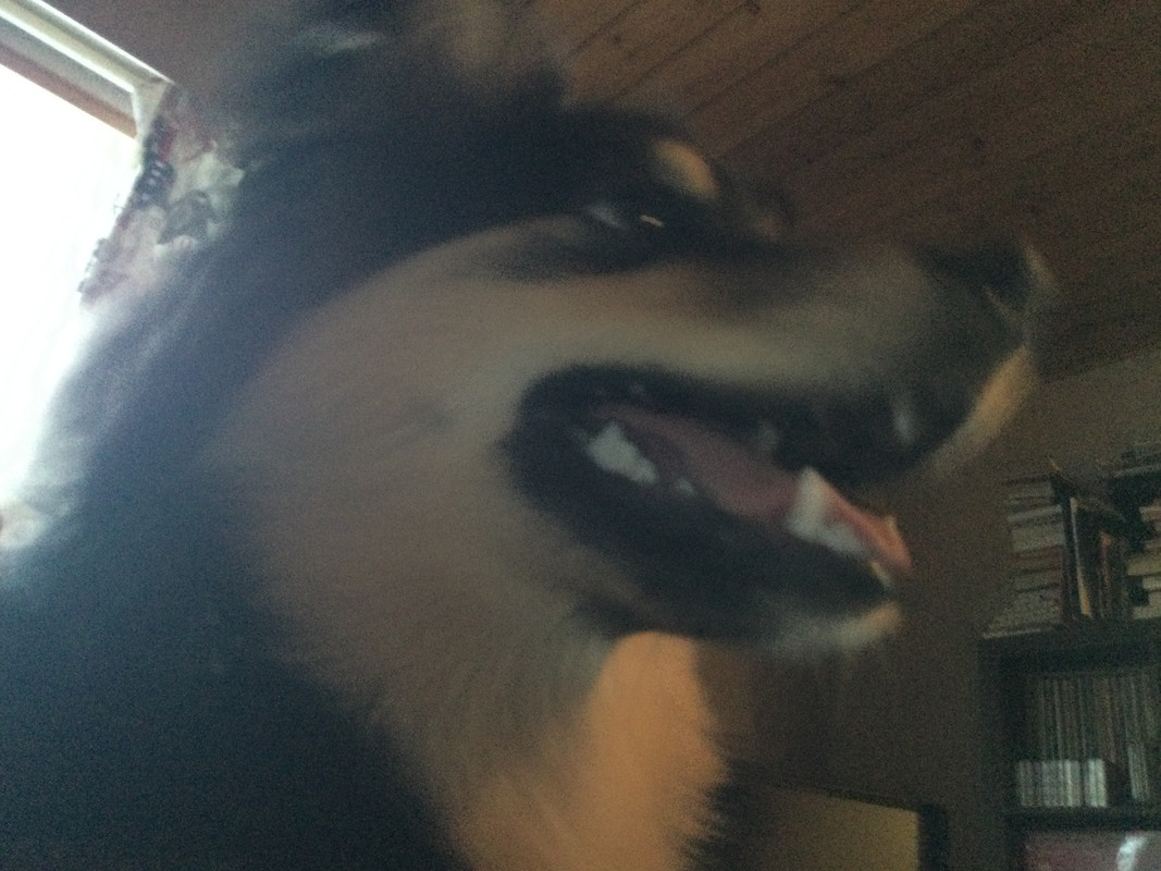 5FDAFE5E-BF82-4662-873D-DE80F728194E