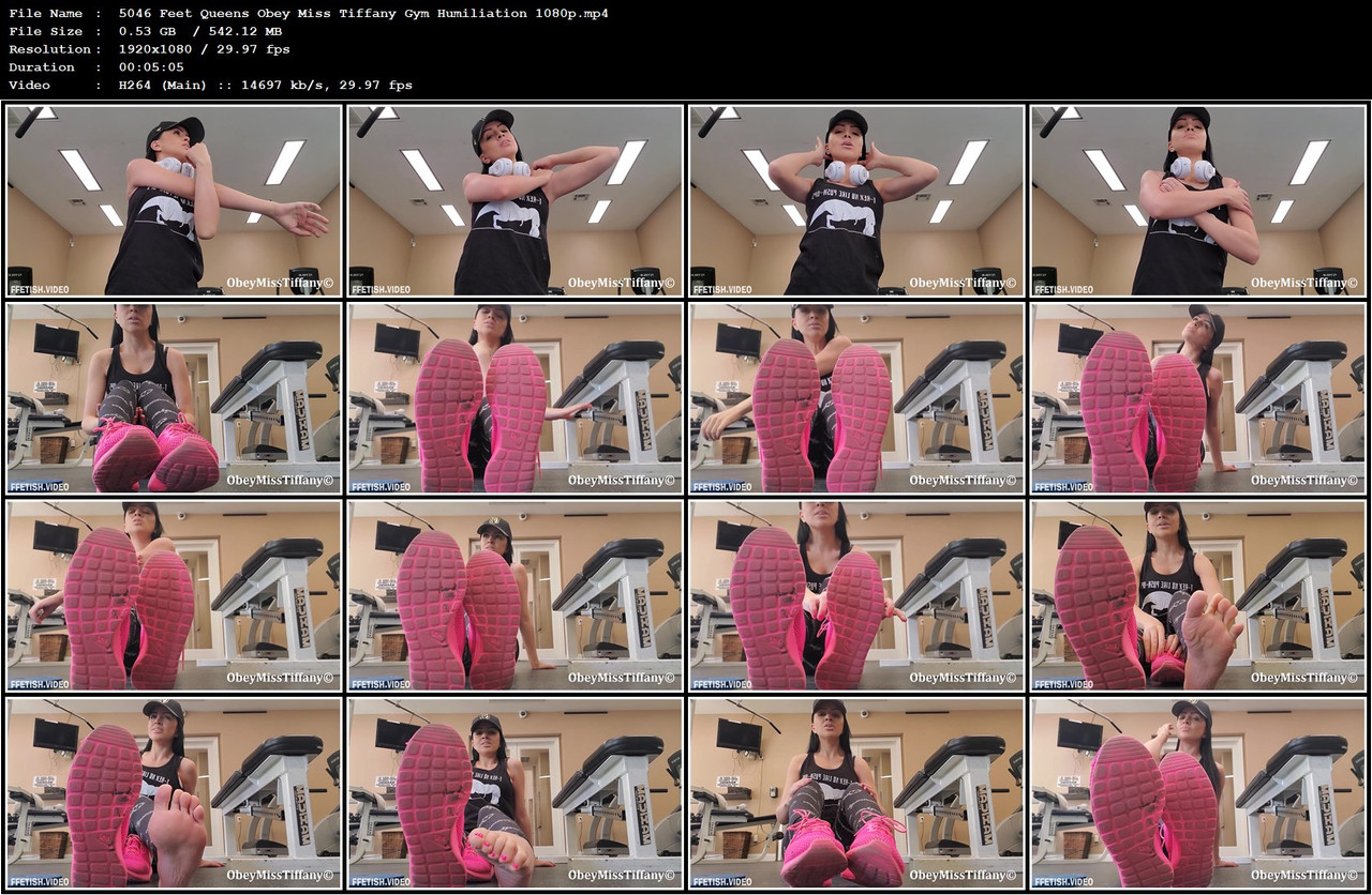 5046 Feet Queens Obey Miss Tiffany Gym Humiliation 1080p mp4