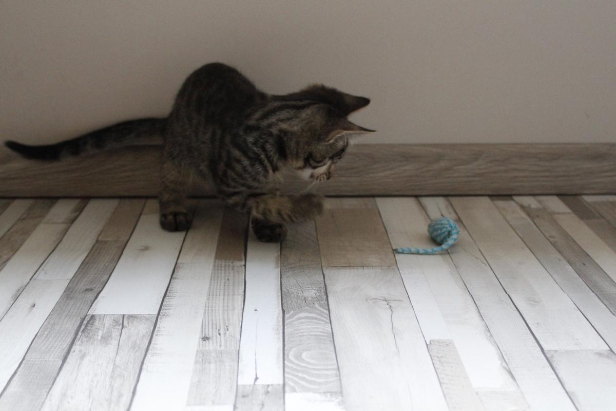 3C768A5D-24FD-44F2-980F-B7867C92E414