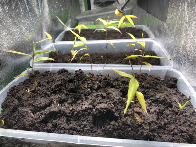 60158733414__EC99BFFE-77F7-40BD-BC20-793820C91A38