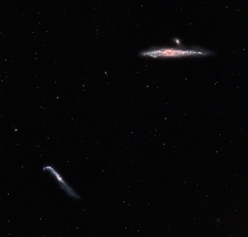 NGC4631_240630 (345x60''__G101_25d,f,df_L-Pro)
