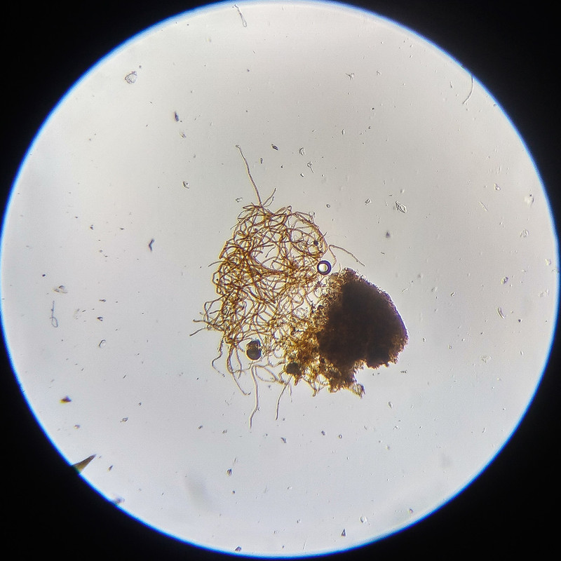 IMG 20250614 112915 HDR