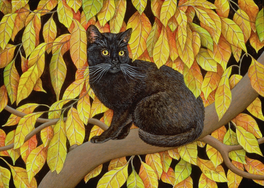 2-Ditz-Ditz-Autumn-Leaves-1994-Meister-Drucke-555748