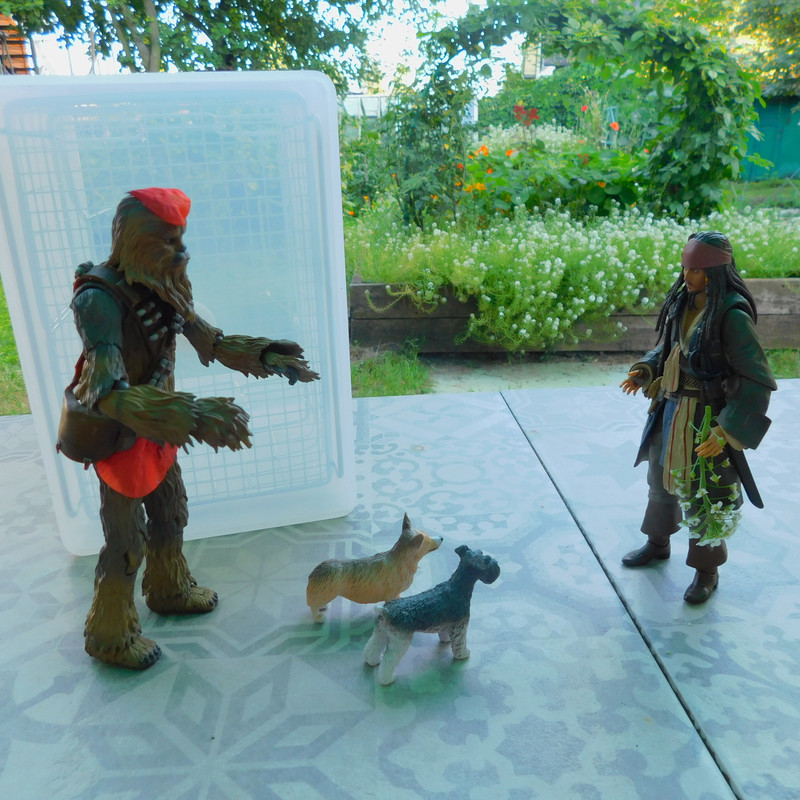 Дачно-Харлинский июнь-июль 2024 427