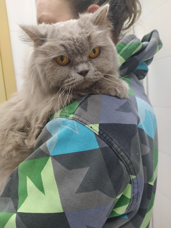 6F135451-83A9-4F2E-916D-8569CFC3B96A