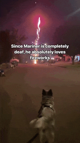 Fireworksezgif-com-optimize.gif