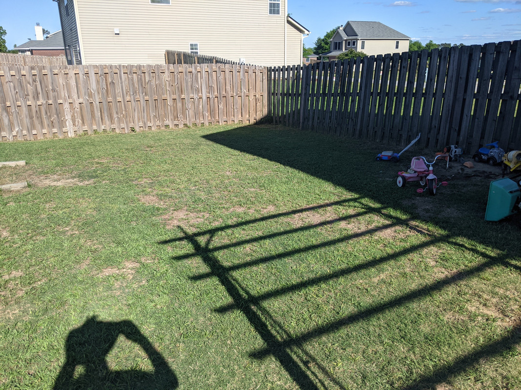2021.05.13 back yard 1