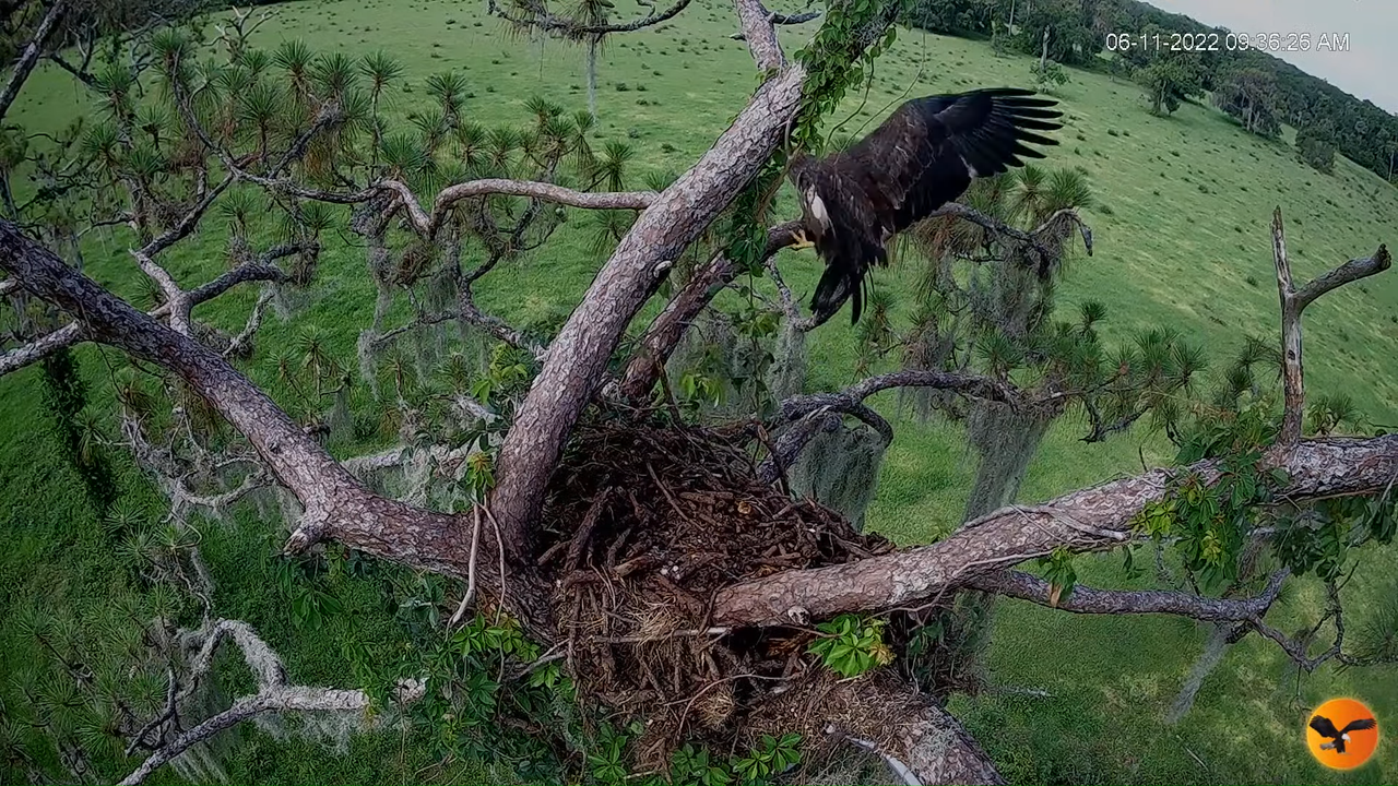 EC 4K Overhead Cam 8-26-10 screenshot