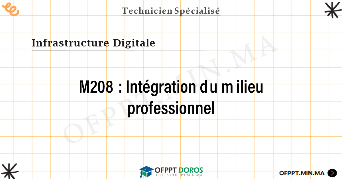 Sommaire détaillé du cours Intégration du milieu professionnel M208 OFPPT - Structure du module