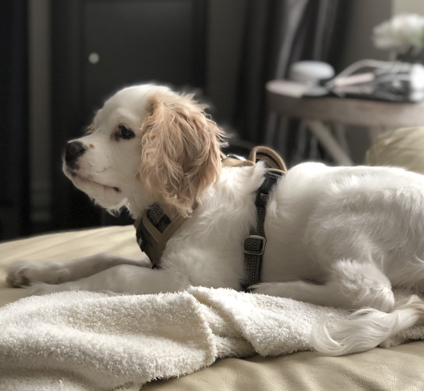 0799AC7F-A981-42E2-B9C9-E29CB079A55D