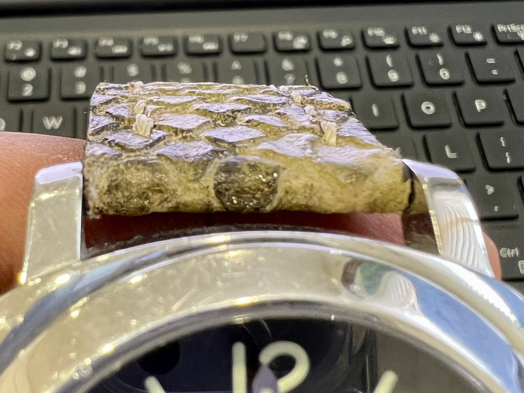 AF3762A6-CD8B-4788-B423-E645AF7B6B9A