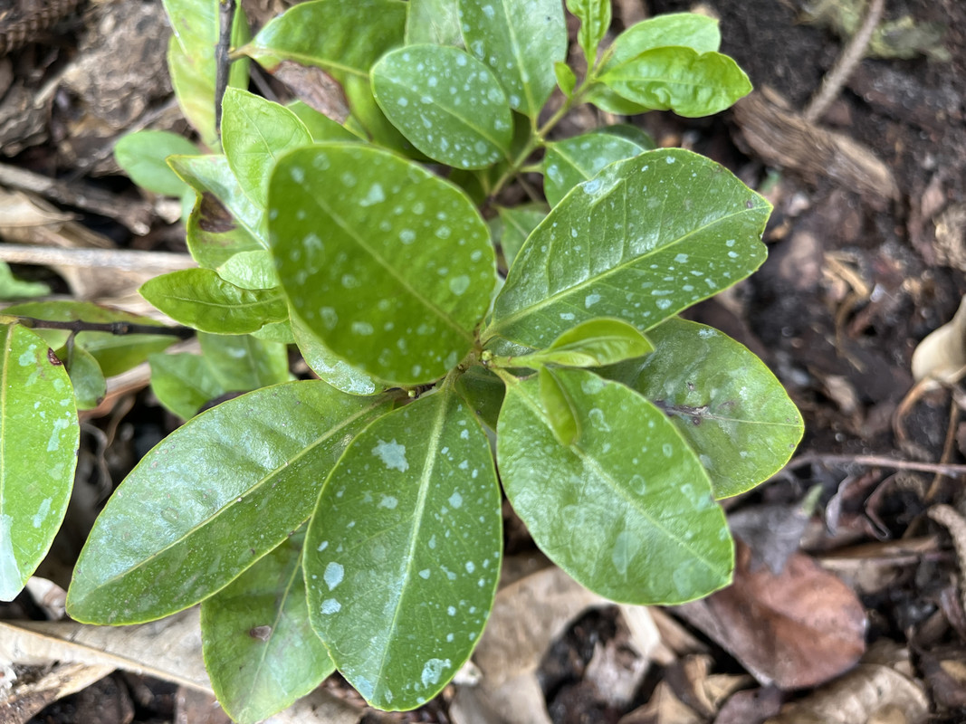 D1EF4422-C110-4B1A-9E30-0A9B5B159F5C