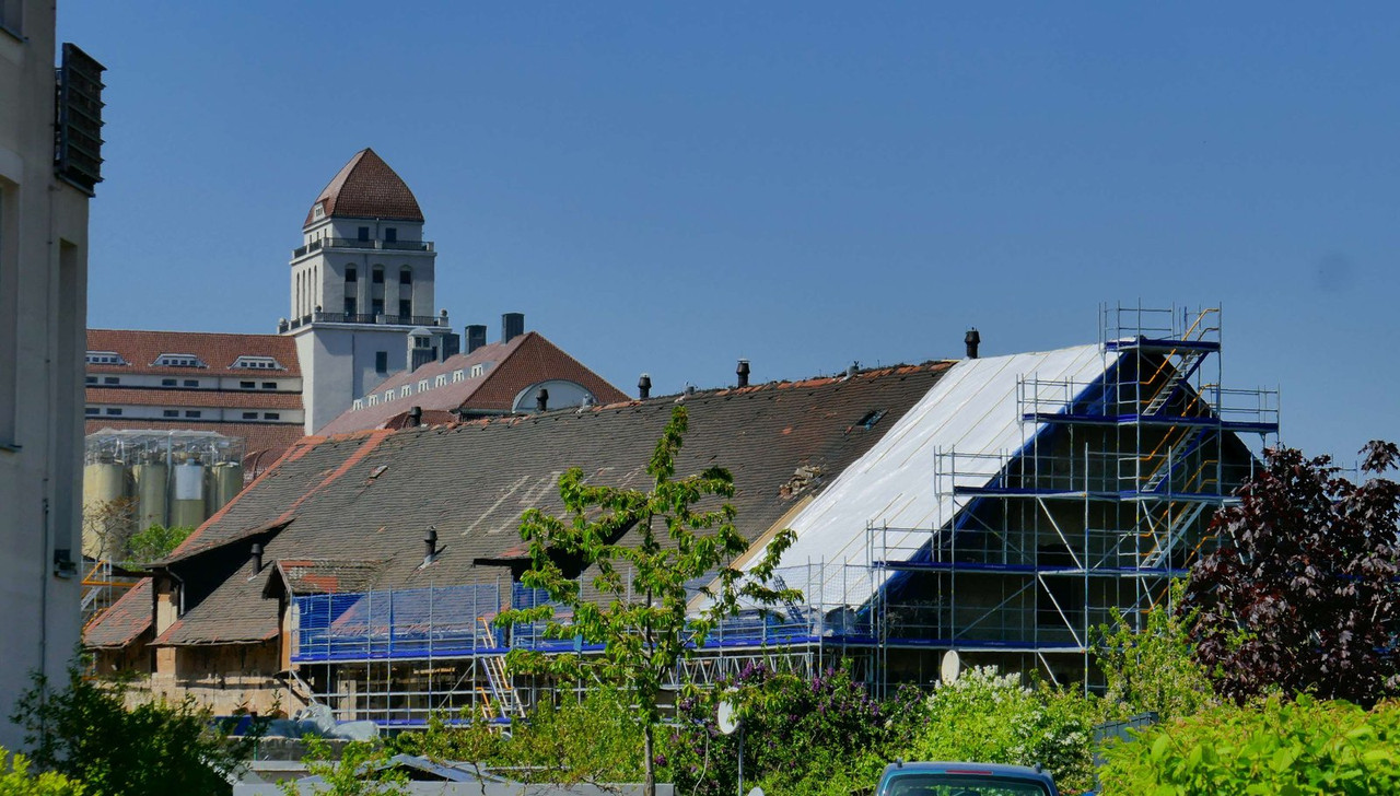 Bild: https://i.postimg.cc/0Q84ZNPh/P1270297.jpg