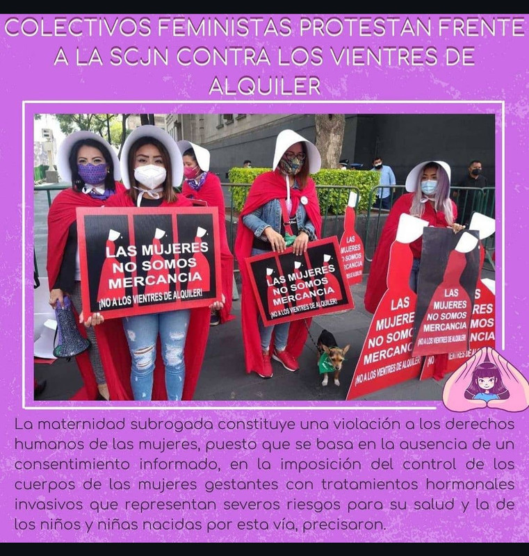 Trayectoria y perfil profesional de Judit Guzmán — imagen 10