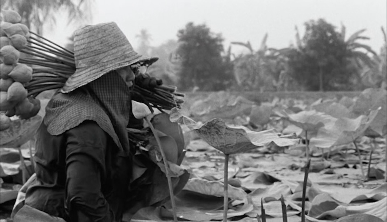 vlcsnap-2025-07-07-16h13m59s754