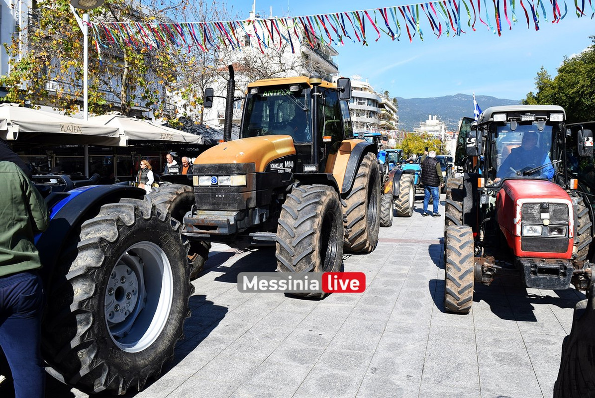 agrotes-DSC-0887