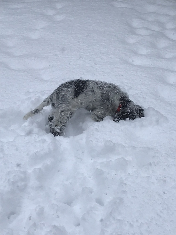 AFAD8DEE-6BA8-43D8-8EA9-ACC2FD9F9B6C