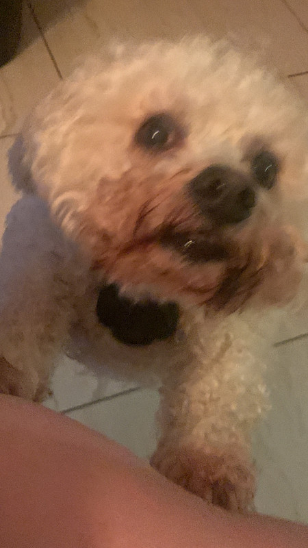 2C6E51AF-068D-45D9-A659-B2F266F82B12