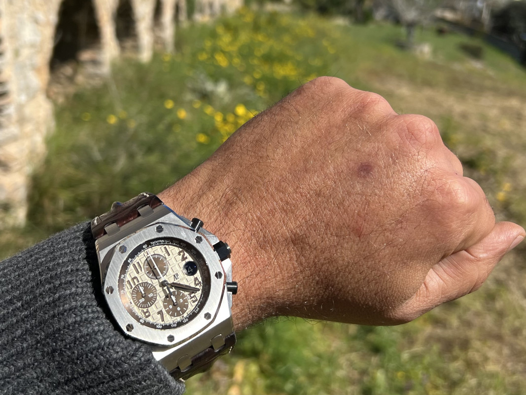 10F260F1-09DD-4B62-B596-20DBB5F5B57E