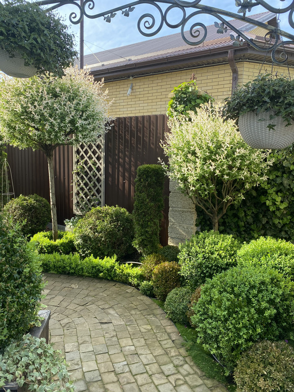 341AAE01-249B-4636-AD8A-F2A0188B68EC