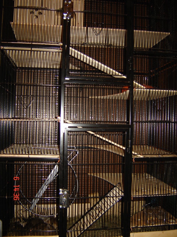 DSC06586