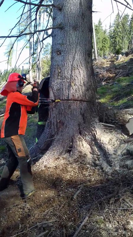 vlcsnap-2019-05-11-20h15m39s481