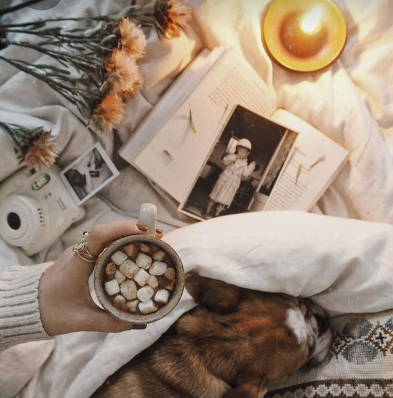 Screenshot_20230225_011917_Pinterest